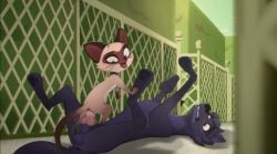 ariane_(belfort_and_lupin) belfort_and_lupin black_fur canid canine canine_genitalia canine_penis canis domestic_cat felid feline felis female feral feral_on_feral feral_penetrated feral_penetrating interspecies knot knotted_penis lupin_(belfort_and_lupin) male penis size_difference wolf