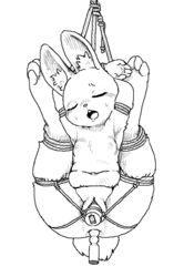 1girls ahe_gao anal anal_sex anthro armpits barefoot bondage bound breasts buckteeth clitoris closed_eyes dildo female femsub fixed_dildo fixed_toy front_view fully_bound gizee greyscale kigoh-neko lagomorph legs_up line_art looking_pleasured mammal monochrome navel nipples open_mouth penetration pussy rabbit raised_arm rope rope_bondage rope_harness sex_toy slightly_chubby solo spread_legs spreading suspension suspension_bondage sweat teeth tongue tongue_out vaginal_penetration