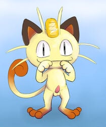 balls cute_fangs erection feline front_view looking_at_viewer male male_only mammal meowth nintendo penis pokemon smile solo standing tapering_penis video_games wattacat