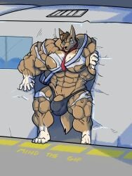 abs biceps canine male muscles muscular muscular_arms muscular_legs muscular_male muscular_thighs novra(artist) pecs wolf