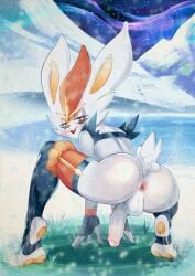 anthro anus ass backsack balls blush cinderace clothing crouching detailed_background femboy fur generation_8_pokemon genitals legwear male mostly_nude nintendo open_mouth outside penis pokemon pokemon_(species) pupils smile snow snowing solo stirrup_(marking) stirrup_legwear stirrup_stockings stockings tail tail_tuft thigh_highs three-quarter_view tuft vein veiny_penis white_body white_fur xu53r