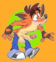 balls crash_(series) crash_bandicoot erection male male_only penis tagme veiny_penis vgls4 video_games