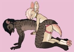 4_toes all_fours anal anal_sex anthro big_ears black_hair breasts canid canine claws closed_eyes collar digital_media_(artwork) doggy_style duo ear_piercing erection facial_hair facial_piercing feet female fennec_fox finger_claws fox from_behind_position fur gauged_ear genitals grey_body grey_fur hair handjob handjob_while_penetrating heart_piercing hyena industrial_piercing inner_ear_fluff kinknine kneeling larger_penetrated licking licking_another licking_partner male male/female male_penetrated mammal mane monotone_background nipples nose_piercing nose_ring nude nude_anthro nude_female nude_male object_in_ass pawpads paws pegging penetration penile penis piercing pink_hair reach_around ring_piercing sex sex_toy sex_toy_in_ass sex_toy_insertion sex_toy_penetration size_difference spots strapon strapon_in_ass striped_hyena stripes tail tan_body tan_fur teeth toe_claws toes tongue tongue_out toying_partner true_fox tuft