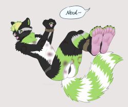 bite bite_mark bite_marks bleeding_nose blood_drip blood_in_mouth blood_on_face bondage bondage_gear bruise bruised bruised_stomach bruises cuts cuts_on_thighs degradation degradation_text degrading embarrassed embarrassed_male feet feet_focus feet_up fluffy fluffy_tail furry furry_male furry_only paw_pose pawpads paws raccoon raccoon_ears raccoon_tail rope rope_bondage shy skunknot tied_arms tied_feet tied_hands tied_up underwear yiff