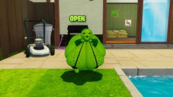 peashooter (pvz) from plants vs zombies