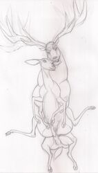 animal_genitalia antlers cervine deer female giselle_(open_season) horn ian_(open_season) male mammal open_season open_season_2 pencil_(artwork) queensmate sex sketch sony supine