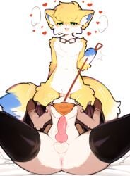 absurd_res anthro anus bat black_clothing black_legwear black_thigh_highs blue_ears blue_paws blue_tail canid canine clothing collar deep_throat duo eyewear flying_fox fox glasses green_eyes heart_symbol hi_res holding_both_legs holding_both_thighs inner_ear_fluff katsucoffee kerchief leash leash_pull legwear male male/male mammal megabat oral oral_penetration orange_kerchief penetration red_collar red_leash spread_legs spreading swallowing tail thigh_highs tuft white_inner_ear_fluff wings y_anus yellow_tail