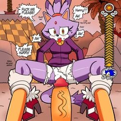 blaze_the_cat feline female hedgehog huge_cock male mammal meter poking pussy sonic_(series) sonic_the_hedgehog straight superbunnygt viktor2