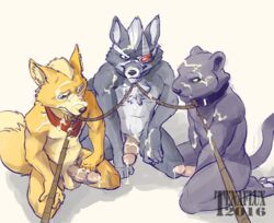 2016 5_fingers anthro balls black_nose bondage bound_together canine collar cum cum_covered cum_on_body cum_on_chest cum_on_face cum_on_head cum_on_muzzle cum_on_penis cum_on_shoulder cum_on_stomach erection feline fox fox_mccloud fur group hair humanoid_hands humanoid_penis kneeling leash looking_at_viewer male male_only malesub mammal messy multiple_subs nintendo nude panther panther_caroso penis rope star_fox submissive tenaflux video_games wolf wolf_o'donnell