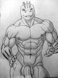 abs balls biceps furry machoke male male_only monochrome muscular nameless00 navel nintendo nipples nude pecs penis pokemon pokemon_(species) solo video_games