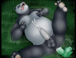 amixeduppuppy anal anal_sex anthro balls bear cum cum_on_penis cum_on_self cum_on_stomach cum_while_penetrated dildo erection fangs green_dildo humanoid_penis kung_fu_panda lying male mammal masturbation nipple_pinch nude obese on_back open_mouth overweight panda penetration penis pinch po sex_toy solo spread_legs spreading teeth tongue tongue_out yaoi