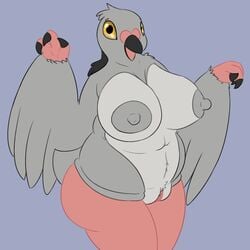 1girls anthro areolae ass avian beak big_breasts bird black_eyes breasts claws erect_nipples feathered_wings feathers female fur grey_fur head_tuft looking_at_viewer navel nintendo nipples nude open_mouth overweight pidove pigeon pokemon posexe presenting pussy simple_background slightly_chubby solo standing thick_thighs tuft video_games wide_hips wings yellow_eyes