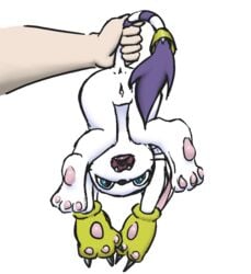 anus claws digimon feline female gatomon gloves human mammal open_mouth pawpads pussy solo_focus tail_grab upside-down vulapa