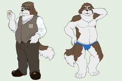 1boy alcohol anthro barefoot beverage blush briefs bulge canine cerb0980 clothing dress_shirt eyewear flat_colors formal front_view glasses headgear male male_only mammal multiple_images pants rubbing_head shirt simple_background slightly_chubby solo standing underwear vest weber