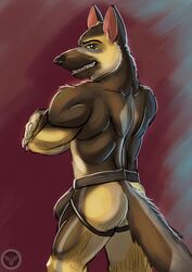 10s 1boy 2016 anthro ass big_butt brown_fur bulge canine clothed clothing fur german_shepherd jakensitou jockstrap looking_at_viewer male male_only mammal muscular nude simple_background smile solo standing teeth topless underwear