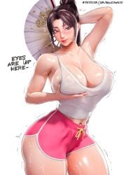 mai shiranui from fatal fury by mikadawn