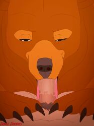 2022 2d_animation animated artist_collaboration artist_name bear biped bodily_fluids brown_bear brown_body brown_fur claws consistent_pov duo erection fellatio female female_feral female_on_human female_penetrated feral feral_frenzy feral_penetrated first_person_view frame_by_frame fur genitals hi_res human human_on_feral human_penetrating human_penetrating_feral interspecies itomic looking_at_viewer loop male male/female male_on_feral male_penetrating male_pov mammal narrowed_eyes nude oral oral_penetration paloma-paloma paws penetration penile penile_penetration penis penis_between_forepaws penis_between_hands penis_on_tongue pubes quadruped saliva saliva_on_penis saliva_on_tongue seductive sex size_difference text tongue tongue_out tongue_out_blowjob tongue_out_fellatio ursine zoophilia
