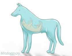 animal_genitalia blue_body canid canine canis digital_media_(artwork) domestic_dog feral fully_inside genitals goo_creature hi_res lenny-jelly_(mitdoggy29) male male/male mammal mitdoggy29 narrowed_eyes predator/prey quadruped simple_background size_difference smile soft_vore tail translucent translucent_body vore