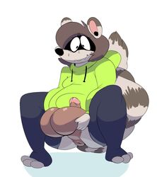 1boy 2016 anthro anus ass balls big_balls clothed clothing fur goonsey goonsey_(artist) hair huge_balls humanoid_penis legwear male male_only mammal open_mouth penis raccoon simple_background sitting solo sweat sweatdrop sweater thigh_highs