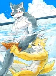 2boys abs blush canine colored duo furry gay male male_only mammal muscular pants_down pantsing partially_clothed pecs penis pool royalsobatya yaoi