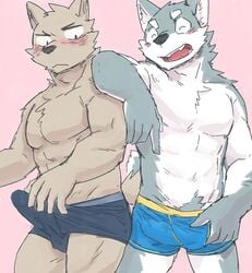 2boys abs black_underwear blue_underwear blush boxer_briefs boxers_(clothing) canine colored duo embarrassed erection erection_under_clothes furry gay male male_only mammal muscular pecs pink_background royalsobatya simple_background tenting underwear yaoi