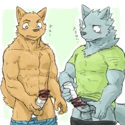 abs balls blush canine clothed clothing colored duo erection japanese_text male male_only mammal muscular pants_down partially_clothed pecs penis royalsobatya simple_background text translation_request underwear