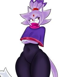 blaze_the_cat blaze_the_cat_(om) thick_thighs