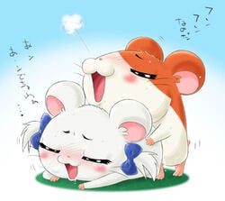 1boy 1girls artist_request bijou blush cum dialogue doggy_style female hamster hamtaro hamtaro_(series) male tagme translation_request