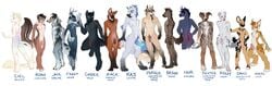 animal_genitalia anthro antlers ass balls canine cervine chipmunk deer demicoeur english_text equine erection feline flaccid group horn horse humanoid_penis hyena looking_at_viewer lynx male male_only mammal nipples nude penis pubes rodent sheath simple_background smile standing text unicorn white_background wolf