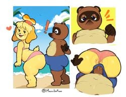 ! 2025 animal_crossing anus ass bikini black_eyes blonde_hair breasts brown_fur canine clownsnguns erection erection_under_clothes female furry grabbing_ass heart isabelle_(animal_crossing) looking_back male marubokoo nintendo penis pink_bikini swimsuit tanuki thick_thighs thighs tied_hair tom_nook white_background yellow_background yellow_fur