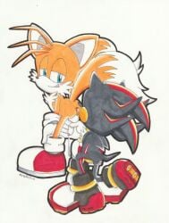 fox furry gay gay_male hedgehog hedgehog_humanoid misshiirin rimming rimming_male sega shadow_the_hedgehog sonic_(series) sonic_adventure_2 sonic_the_hedgehog_(series) tails tails_the_fox