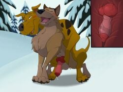 2023 anal anal_knotting anal_sex animal_genitalia animal_penis balto balto_(film) canid canine canine_genitalia canine_penis canis crossover domestic_dog duo feral feral_on_feral feral_only genitals great_dane hanna-barbera hi_res internal knot knotting male male/male mammal mastiff mcfan molosser penetration penis scooby-doo scooby-doo_(character) universal_studios