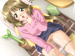 1girls ahoge blue_skirt blush bow breasts brown_hair cc_syndrome censored dutch_angle female female_only flower_pot game_cg hairbow hand_on_own_thigh hand_to_own_mouth long_hair looking_at_viewer mosaic_censoring open_mouth panties panty_pull peeing pink_sweater ponytail pubic_hair pussy sakura_iori shelf sirpent sitting skirt skirt_lift solo spread_fingers striped striped_sweater studio_sunadokei surprised sweater tied_hair toilet toilet_use trash_can underwear urine white_panties yellow_bow