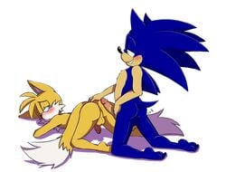 anus ass balls bluechika blush canine fox furry hedgehog looking_back male mammal penis simple_background sonic_(series) tails white_background yaoi