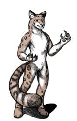 anthro cirrus_(periodic) claws felid feline female fur genitals hi_res leopard leopard_spots mammal markings muscular muscular_female pantherine paws periodic pussy snow_leopard solo spots striped_markings striped_tail stripes tail tail_markings tan_body tan_fur white_body white_fur