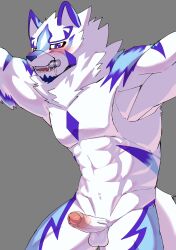 anthro blue_eyes blush bondage bound canid canine erection foreskin fur gag gagged genitals hi_res ho_jiro lifewonders live_a_hero male mammal multicolored_body multicolored_fur muscular muscular_anthro muscular_male nude pecs penis sadayoshi small_penis solo