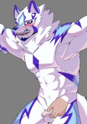 anthro blue_eyes blush bondage bound canid canine disembodied_hand flaccid foreskin fur gag gagged genitals handjob hi_res ho_jiro lifewonders live_a_hero male mammal multicolored_body multicolored_fur muscular muscular_anthro muscular_male nude pecs penile penis sadayoshi sex small_penis