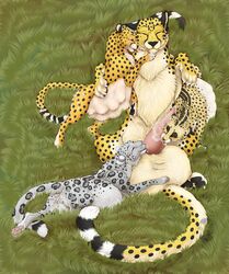 2016 after_sex anthro balls big_balls breasts cheetah chest_tuft claws closed_eyes collaborative_fellatio cum cum_in_pussy cum_inside erection feline fellatio female feral fur grey_fur half-closed_eyes harem hotwert huge_balls hyper hyper_balls jasiri kieran kieran_(kierish) leopard licking lying male mammal mia_(hotwert) mihari multi_breast multicolored_fur nipples on_back one_eye_closed oral paws penis pregnant pussy sex snow_leopard spots spotted_fur straight tail_tuft teamwork teats tongue tongue_out toradoshi tuft white_fur yellow_fur