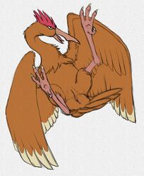 anus avian beak bird bird_feet fearow feathered_wings feathers feet female feral furry furry_only nintendo open_mouth pencil_(artwork) penis pokémon_(species) pokemon pussy python13rp simple_background sketch solo spread_wings talons traditional_media_(artwork) video_games white_background wings yaroul