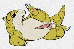 animal_genitalia anus balls erection feral male male_only nintendo open_mouth pencil_(artwork) penis pokemon pokemon_(species) python13rp sandshrew sheath simple_background solo tapering_penis traditional_media_(artwork) video_games white_background yaroul