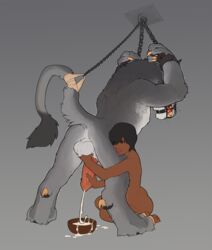 1boy 1girls 2016 anthro anthro_on_female anthro_on_human anus ass ball_fondling ball_gag ball_tuft balls big_penis black_hair bondage bound charr claws countershading cum cum_in_a_cup dark-skinned_female dark_skin duo erection feline female female_dominating_nonhuman fondling fur gag gradient_background grey_background grey_fur guild_wars hair handjob heel_claw hi_res human human_female male mammal nonhuman_male_on_human_female orgasm penis penis_milking raised_tail shackles shaking simple_background sitting snowskau standing straight trembling video_games