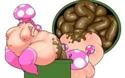 artist_request big_ass big_belly big_breasts hyper_feces hyper_scat mario_(series) mario_bros mario_kart_double_dash scat shit shitting stockings super_mario_bros. tagme tagme_(artist) toadette warp_pipe