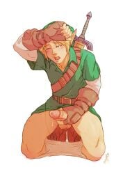 link from ocarina of time by artist request