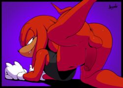 knuckles the echidna from sonic (series) by argento
