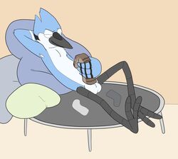 1boy anthro avian balls bird blue_jay blueballs_(artist) cartoon_network corvid male male_only masturbation mordecai penile_masturbation regular_show socks solo