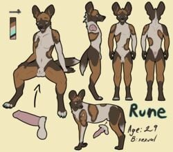 african_wild_dog animal_genitalia anthro balls canine chakat-silverpaws feral fully_sheathed knot male mammal model_sheet nude penis sheath