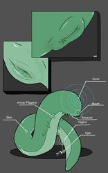 blind close-up cum eatmybuns egg gastropod green_skin labels lips little_arms pussy simple_background slug unknown_species