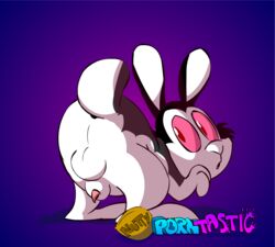 2016 animal_genitalia animal_penis anus balls big_ears bunnicula bunnicula_(character) fangs lagomorph male male_only mammal nuttyporntastic penis presenting rabbit simple_background solo vampire