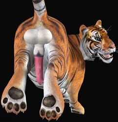 1boy animal_genitalia animal_penis anthro balls big_ears clothing duo erection feline feral fur looking_at_viewer male male_only mammal nude open_mouth penis seductive simple_background smile solo tapiko tiger white_fur