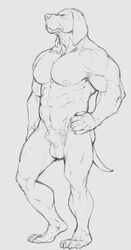 1boy 2015 4_toes 5_fingers abs animal_genitalia anthro balls biceps big_muscles canine claws floppy_ears forge_(artist) fur greyscale hand_on_hip hi_res male male_only mammal monochrome muscular muscular_male nipples nude pecs plantigrade pose sheath simple_background solo standing toe_claws toes